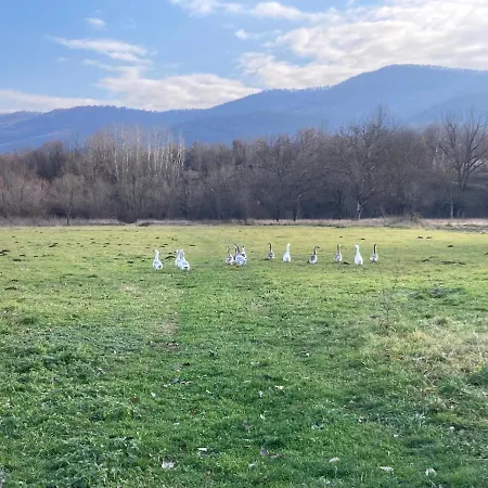 Крайчевата Къща Vendégház